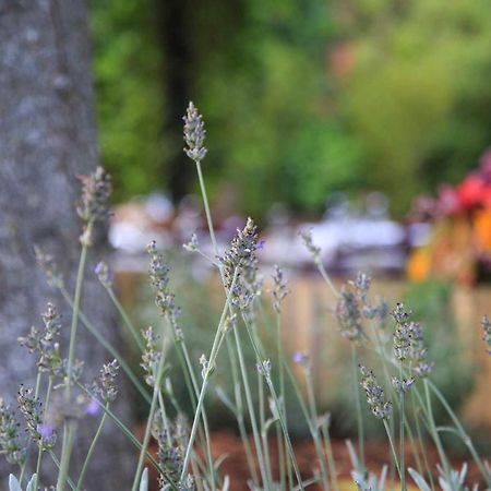 Podere La Miniera Relax & Food Panzió Siena Kültér fotó