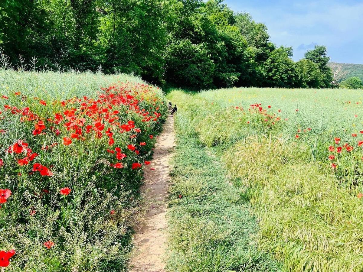 Podere La Miniera Relax & Food Panzió Siena Kültér fotó