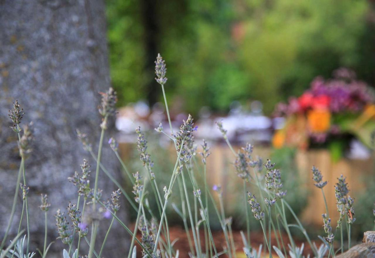 Podere La Miniera Relax & Food Panzió Siena Kültér fotó